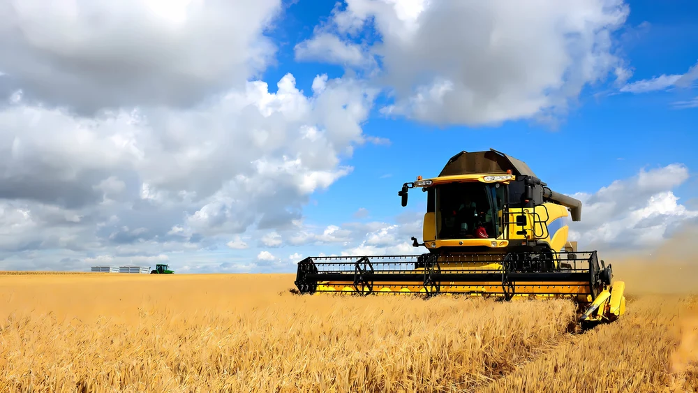 WHEAT
SCO and 
DRAFT AGREEMENT