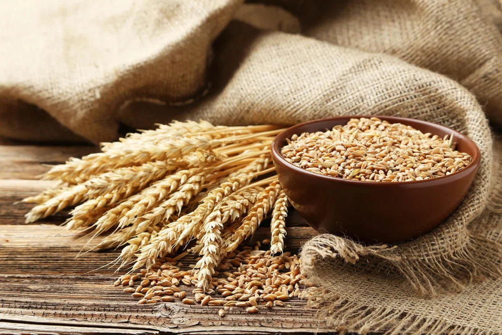 WHEAT